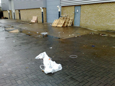 Before Litter Removal