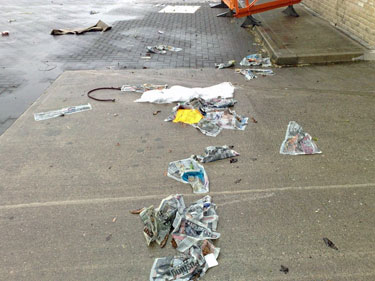 Before: Litter Removal 