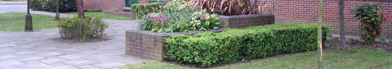 Regenerate your site with our mechanical sweeping, litter removal, jet wash and landscaping solutions.